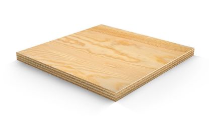 Picture of OEM Special  Plywood  8 x 4 ft MR  16mm